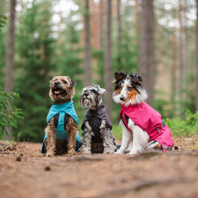 Neu im Sortiment: Der KuoriPomppa Regenmantel für Hunde