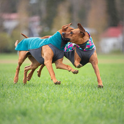 Hundepullover Jumppa Pomppa Forest grün