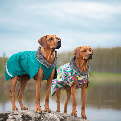 Hunde Wintermantel Perus Pomppa mit Geschirröffnung