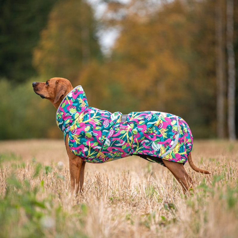 Hunde Wintermantel Perus Pomppa mit Geschirröffnung