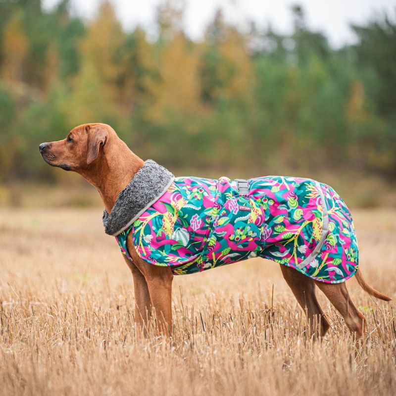 Hunde Wintermantel Toppa Pomppa mit Geschirröffnung